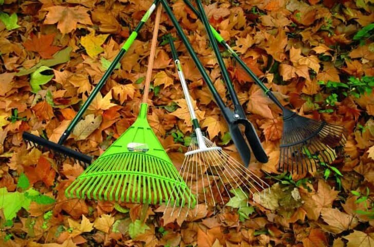 Wheeled String Trimmer: Full Guide to Uses and Buying Tips