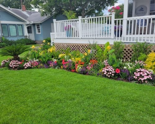 Residential yard with maintained lawn, shrubs, and planting beds