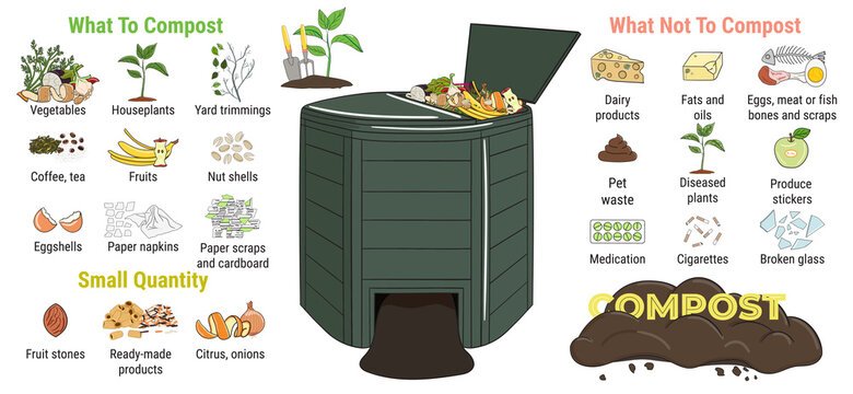 What Can Be Composted? A Complete Guide to Compostable Materials