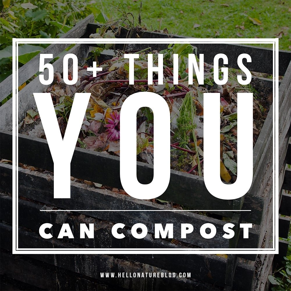 What Can Be Composted? A Complete Guide to Compostable Materials