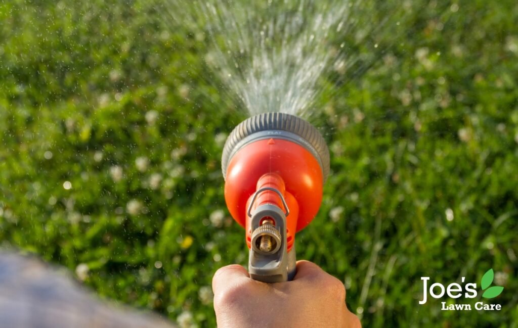 Must Have Garden Tools: Complete Guide, Uses, and Buying Tips