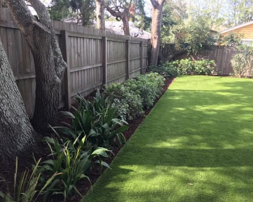 Maintained residential front lawn and landscape