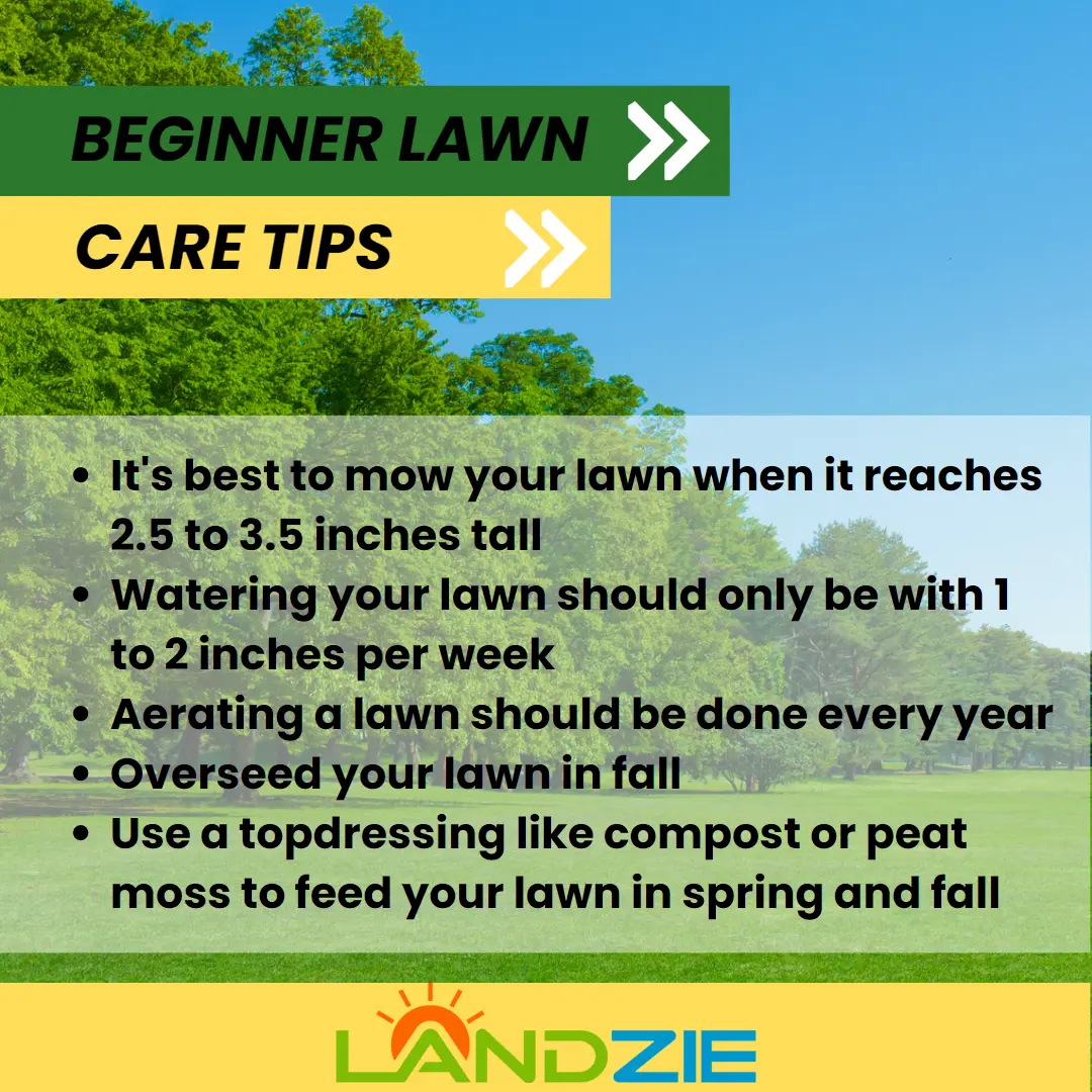 Lawn Care Tips For Beginners: Complete Guide