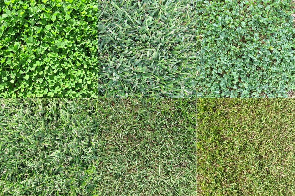 Month By Month Lawn Care Calendar: The Complete Guide
