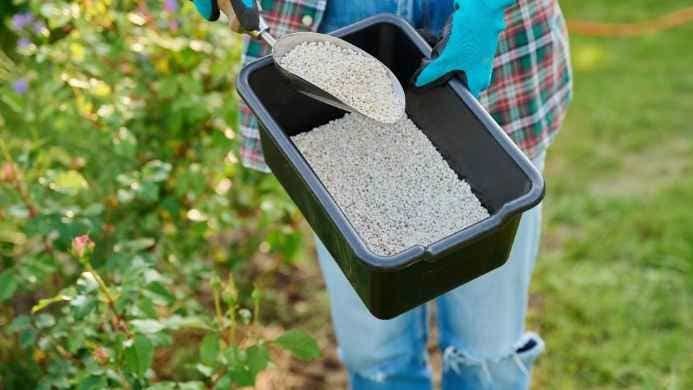 Lawn Fertilizer Numbers: Full Guide and Overview