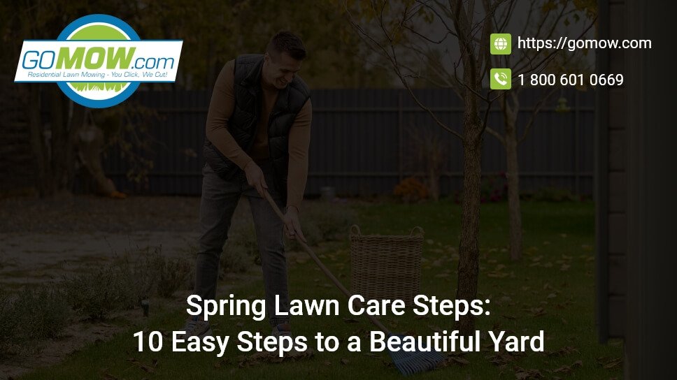 Spring Lawn Care Steps: A Complete Guide