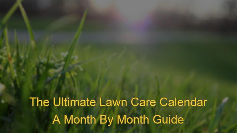 Month By Month Lawn Care Calendar: The Complete Guide