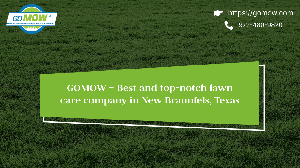 What Is Lawn Maintenance: The Complete How-To Guide