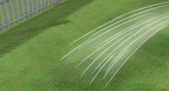 What Type Of Grass Do I Have: The Complete How-To Guide