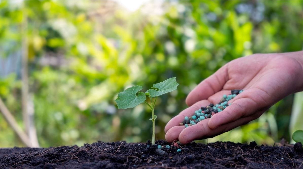 Liquid vs Granular Lawn Fertilizer: Which Approach Is Better?