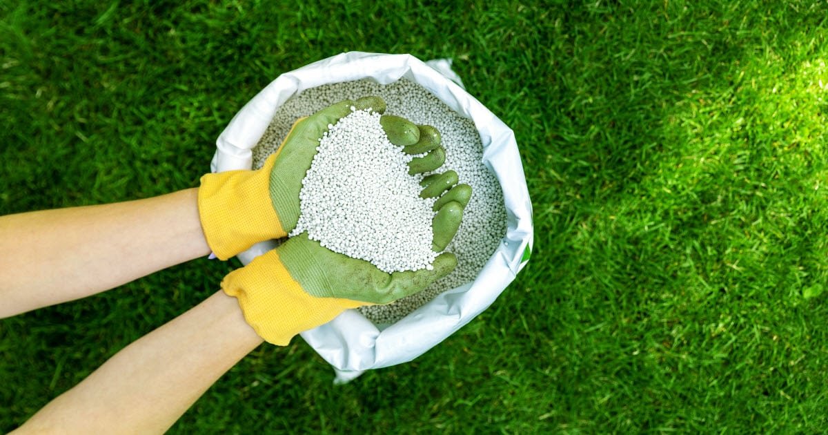 Lawn Fertilizer Numbers: Full Guide and Overview