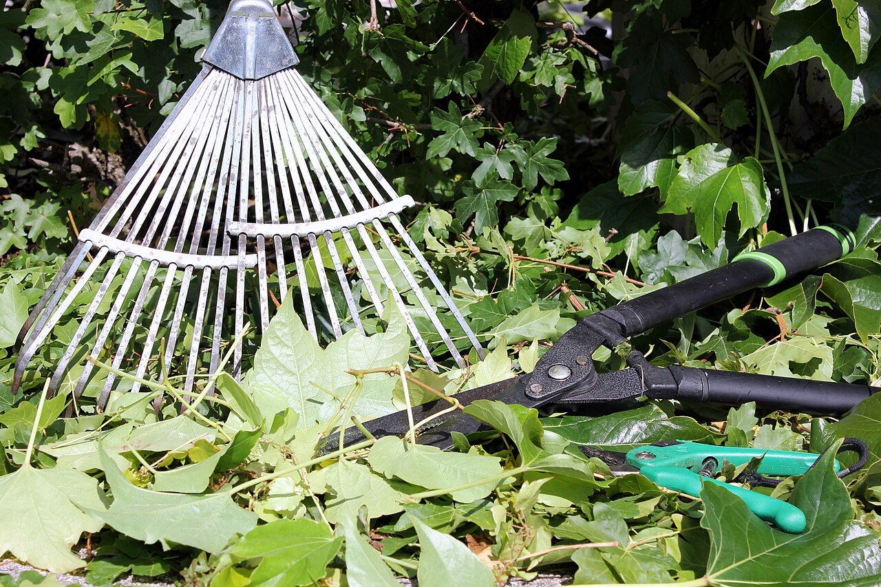 Assorted garden tools including hand trowel, pruners and cultivator