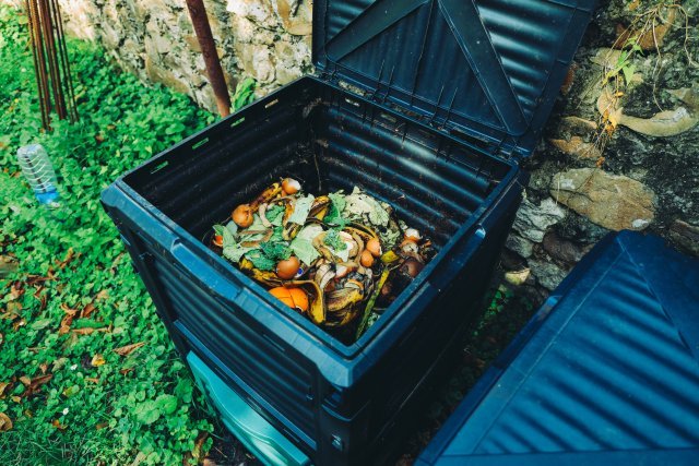 What Can Be Composted? A Complete Guide to Compostable Materials