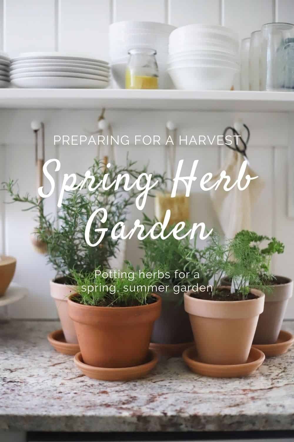 How to Grow an Herb Garden: A Beginner’s Guide to Fresh Herbs at Home