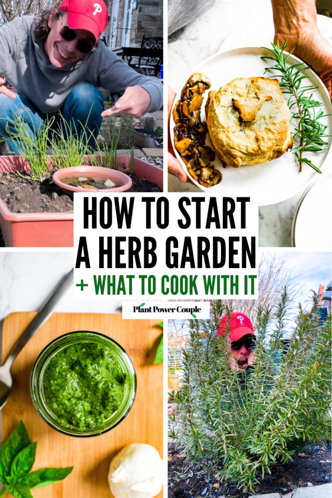 How to Grow an Herb Garden: A Beginner’s Guide to Fresh Herbs at Home