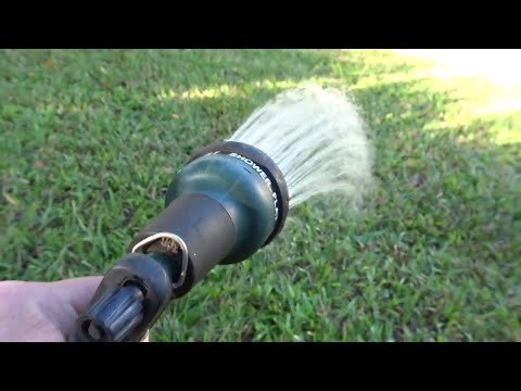 How To Overseed Lawn: Step-by-Step Instructions and Tips