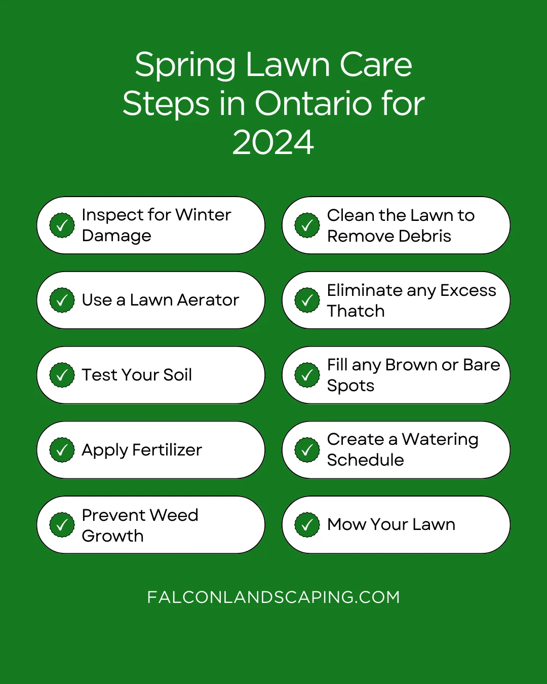 Spring Lawn Care Steps: A Complete Guide