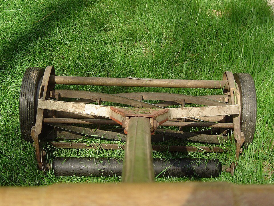 Reel mower cutting part of a lawn, showing mowed and unmowed grass