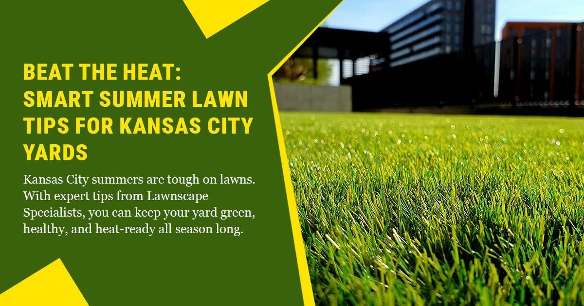 Lawn Care Tips For Beginners: Complete Guide