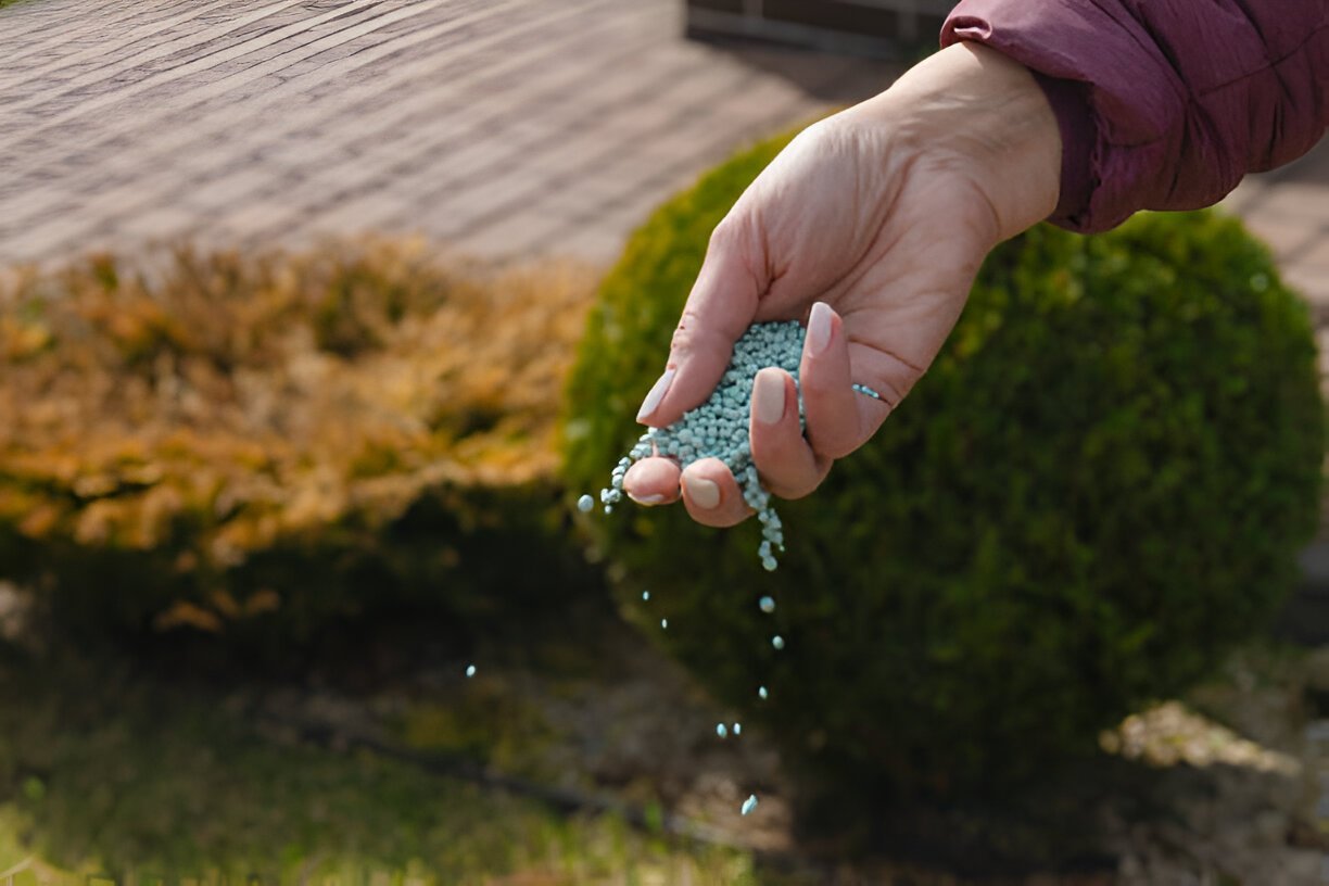 Liquid vs Granular Lawn Fertilizer: Which Approach Is Better?