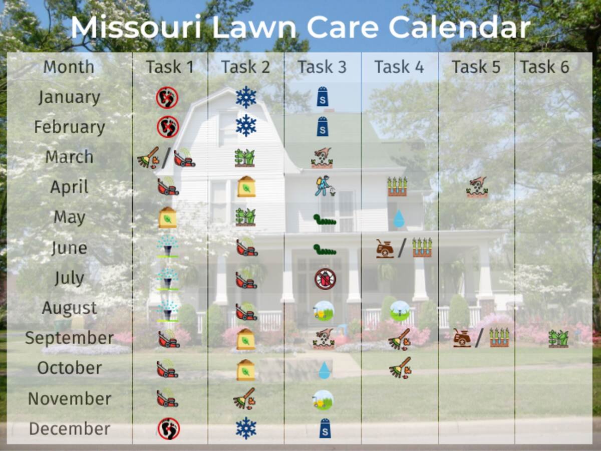 Month By Month Lawn Care Calendar: The Complete Guide