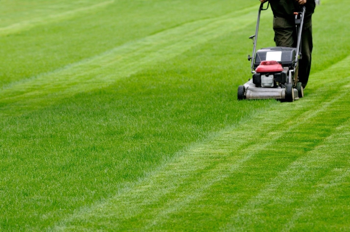 How To Mow Lawn Correctly: The Complete How-To Guide