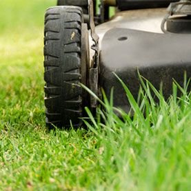 What Is Lawn Maintenance: The Complete How-To Guide