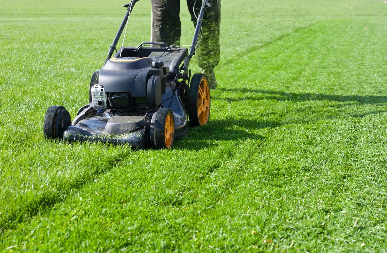 How To Mow Lawn Correctly: The Complete How-To Guide