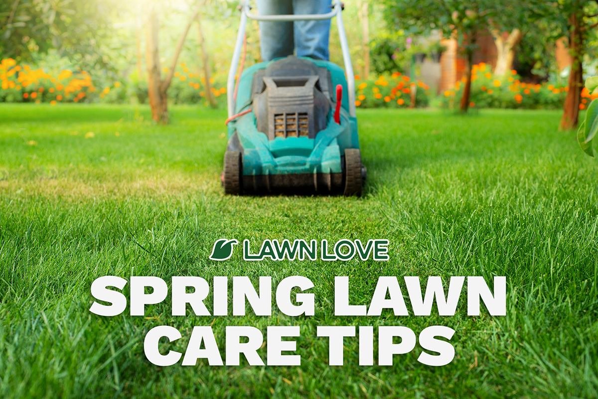 Spring Lawn Care Steps: A Complete Guide