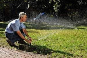 How To Overseed Lawn: Step-by-Step Instructions and Tips