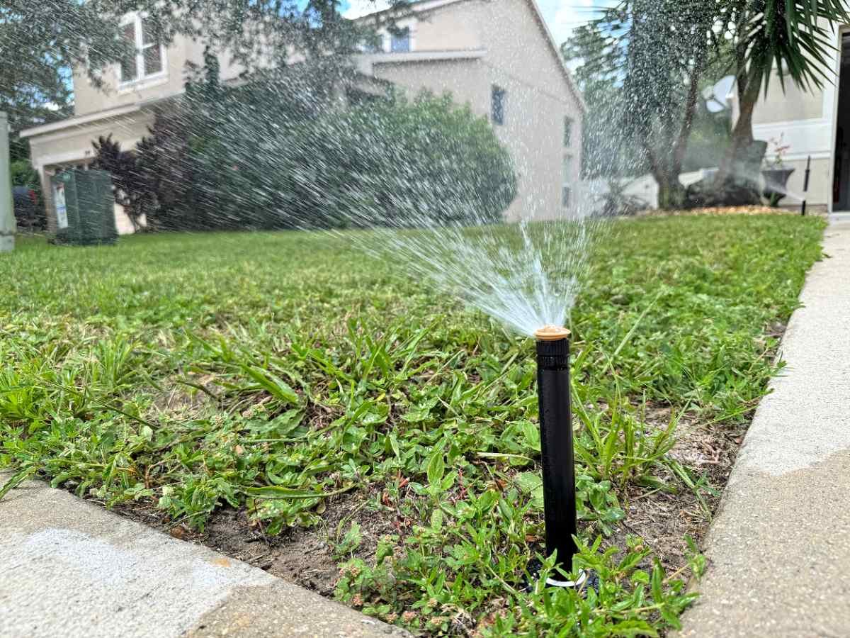 When To Overseed Lawn: A Step-by-Step Guide