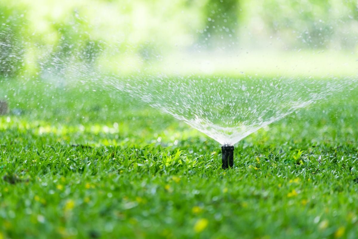 When To Overseed Lawn: A Step-by-Step Guide