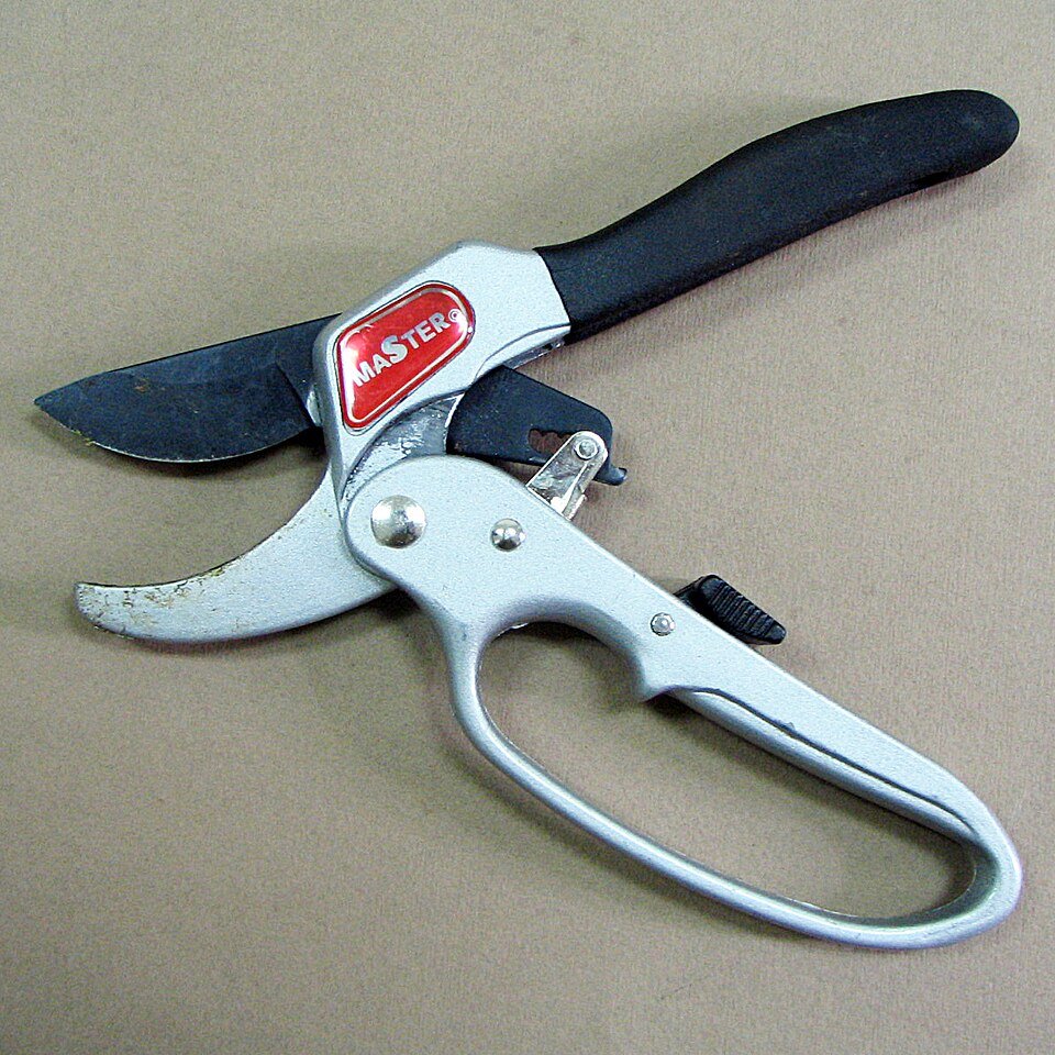 Handheld anvil pruners with blade and flat anvil