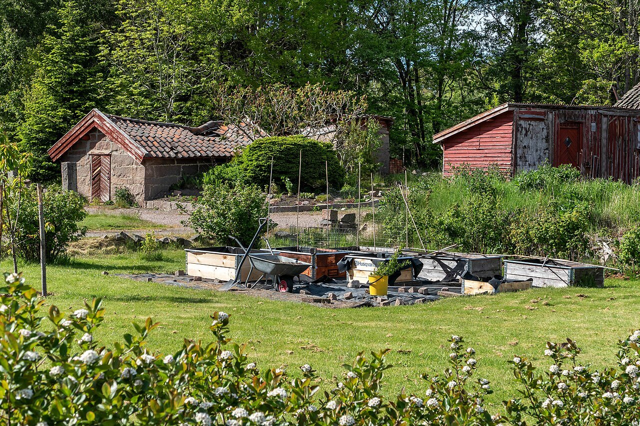 Garden beds being prepared for planting as a beginner gardening project