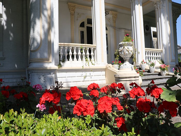 Outdoor flower garden beside a university building
