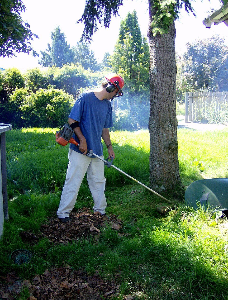 Person using a string trimmer to clear tall grass in a yard